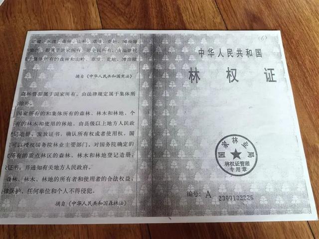 响应号召种树成材后被禁止采伐 农户二十余年护林心酸史