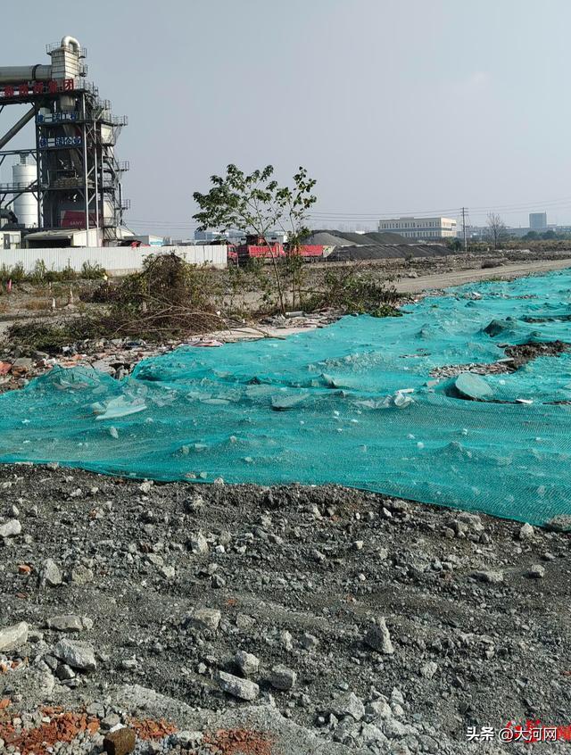 男子殴打92岁母亲,邻居称事后老母亲曾拿500元想保儿子回家 母爱无边