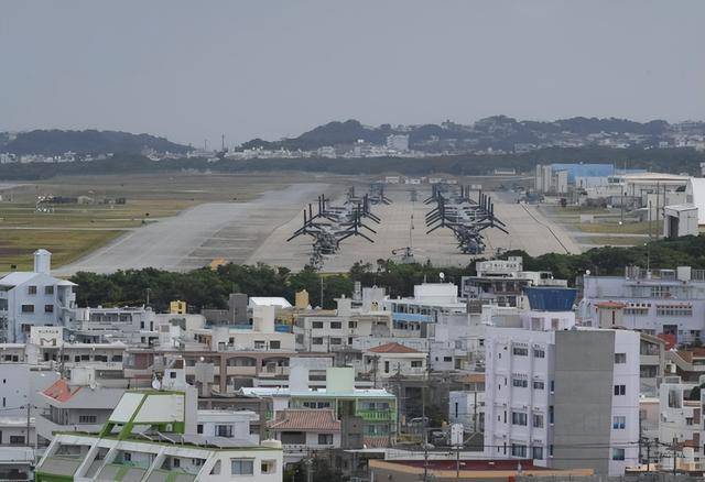 驻日美军基地出现大量毒蜘蛛 生态危机引关注