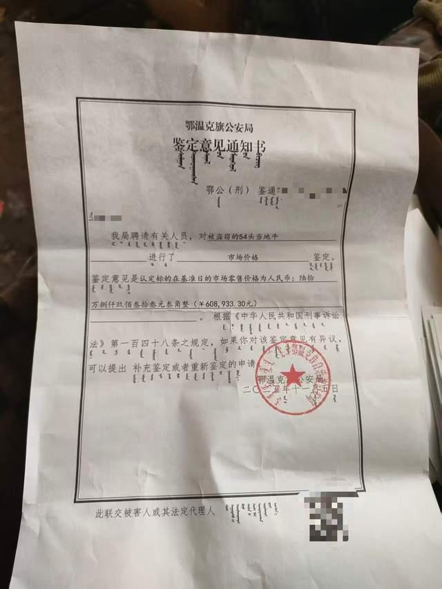 牧场54头牛被偷 偷牛者发自拍宣传 熟人作案损失惨重