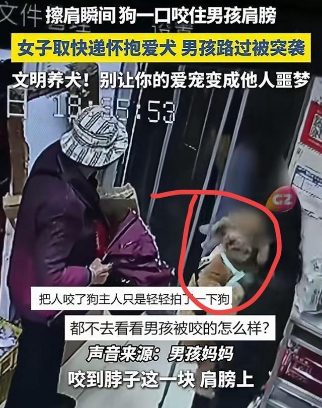 2026年遛狗不拴繩最高拘10天