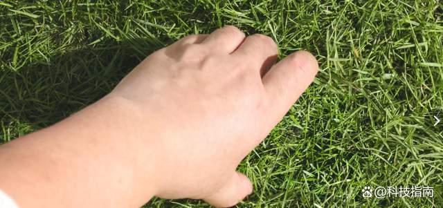 華為Mate80ProMax配置曝光 國產(chǎn)屏實(shí)力亮眼