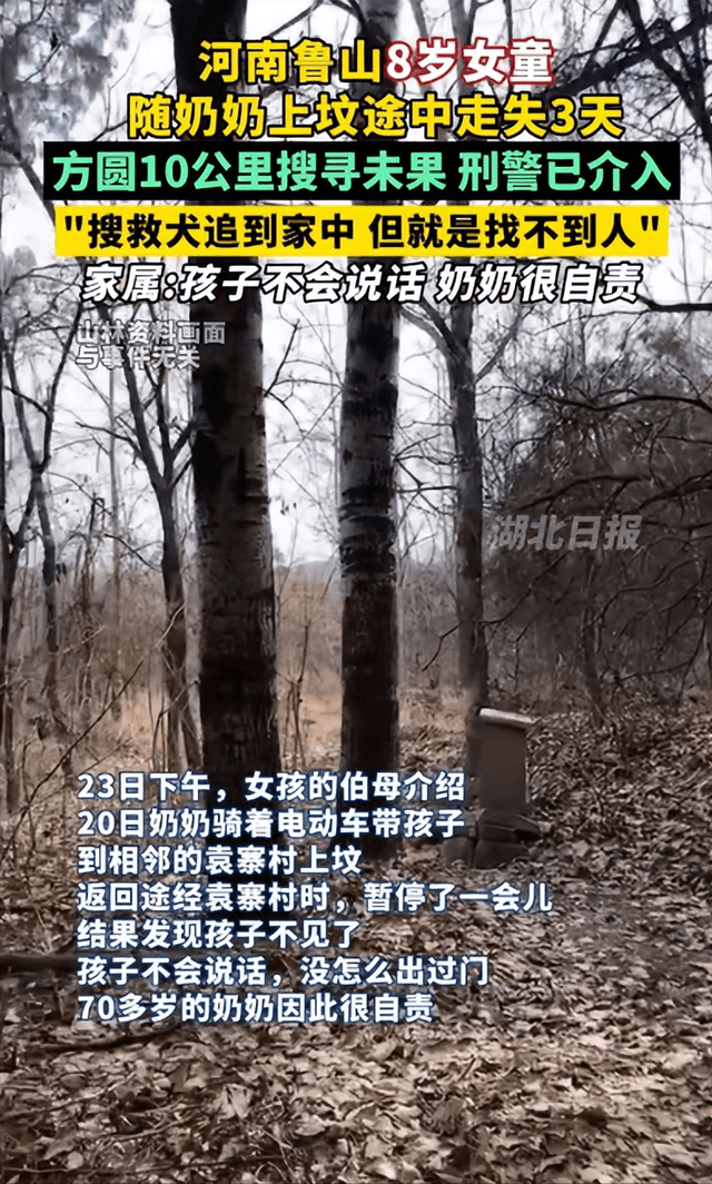 河南鲁山8岁女孩失联,多方搜寻未果,紧急寻找失踪儿童!