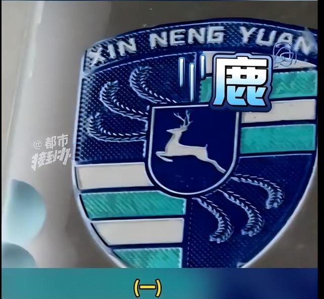 大爷花2万多网购卡宴变保时捷鹿 山寨车退款风波