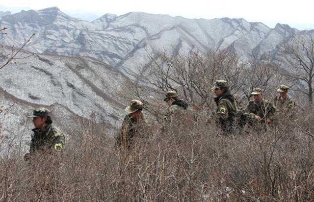 超颯的猛禽大鵟現(xiàn)身京冀交界處！