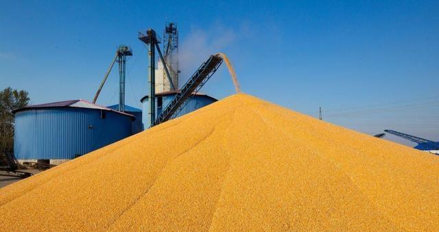 中美20年四次大豆博弈 一颗豆子背后的惊天棋局