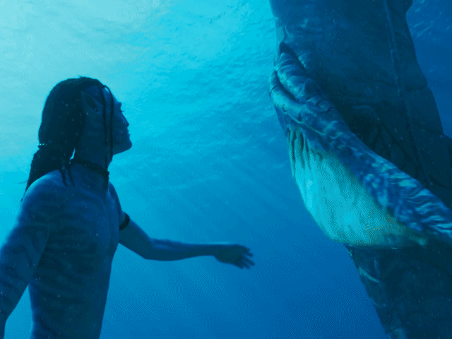 《阿凡達(dá)3》超全觀影指南 潘多拉新紀(jì)元揭秘