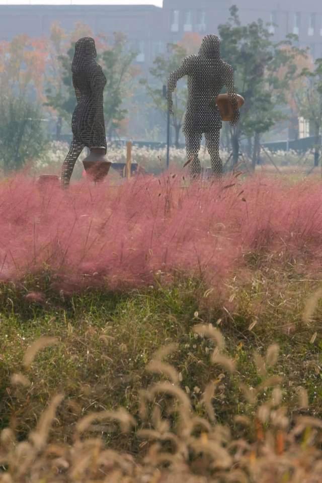 在鄭州遺址公園見證仰韶7000年 文明之窗開啟