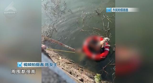 女子為救愛犬跳入湖中 市民與巡檢員合力救援