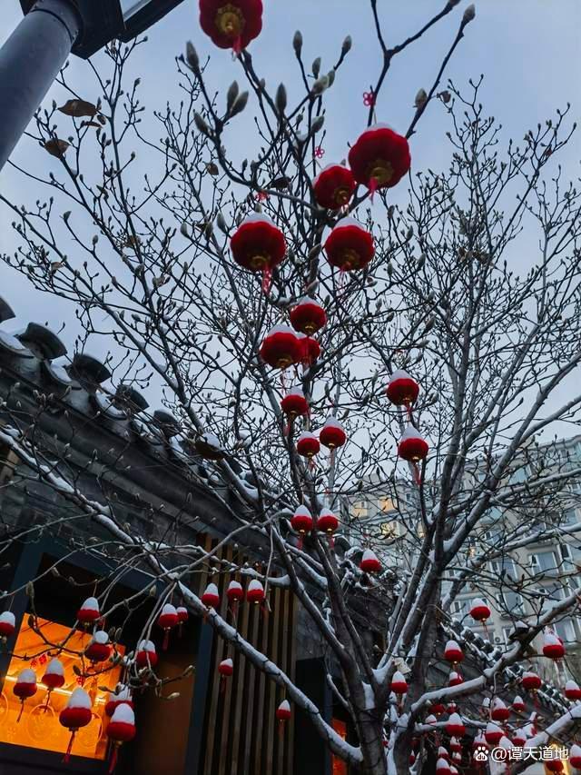 被北京雪地里的祝福戳到了 故宮雪景成冬日頂流