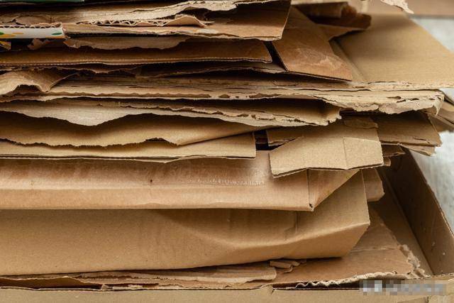 大媽搶紙箱推倒老人后續(xù)！