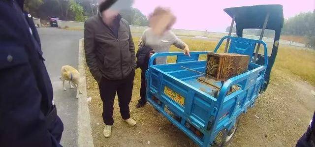 蜜蜂“打群架”，民警直接上門“勸架” 蜂農(nóng)損失慘重求調(diào)解