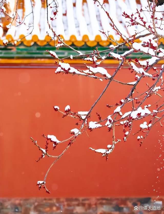 被北京雪地里的祝福戳到了 故宮雪景成冬日頂流