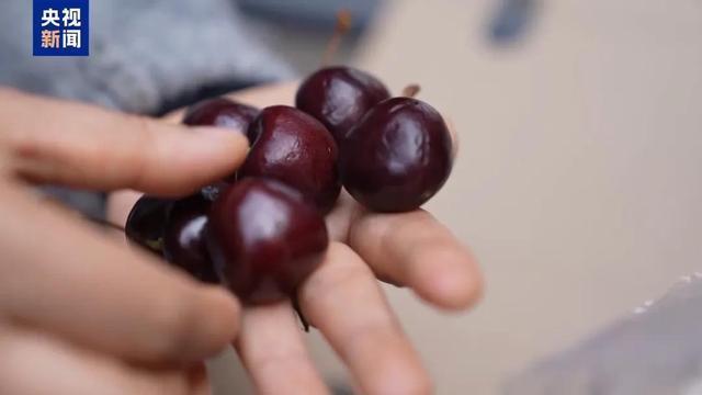 车厘子价格大跳水了 进口水果量升价降