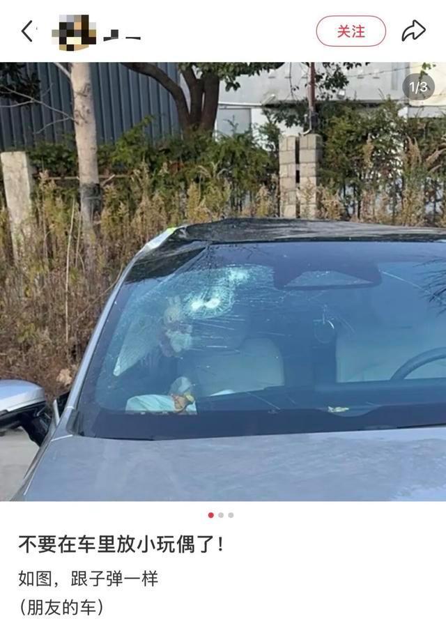 今天起 不要在车里放小玩偶了 安全气囊隐患大