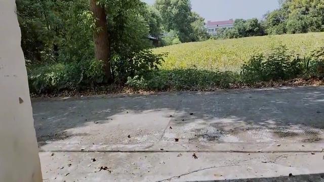 你会在农村建房仍是在城里买房