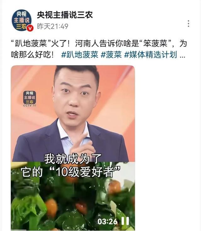 爆火的趴地菠菜你吃过吗 甜过初恋的“豫味鲜蔬”