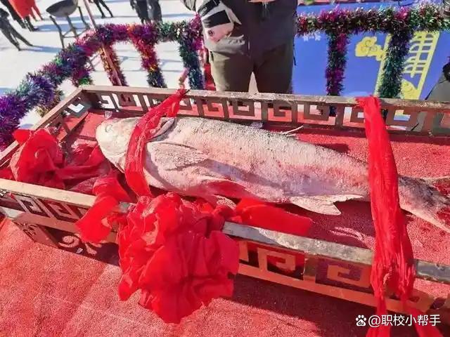 东北大爷零下20℃抢头网鱼 170万天价头鱼刷新纪录