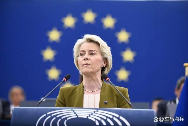 怎么看待欧盟对好意思国祭出关税攻击 地缘政事下的贸易反击