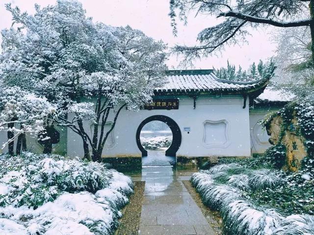 游客听天气预报到西湖蹲到了雪 寒潮带来冬日惊喜