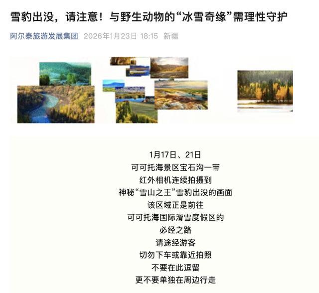 官方通报阿勒泰雪豹伤人 游客遇袭已送医救治