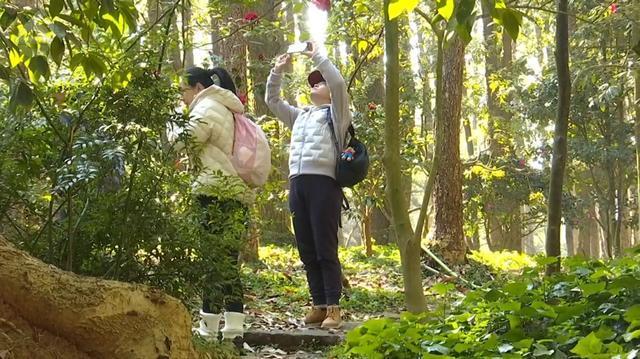 昆明东谈主的立春庆典感:把春天吃进肚子,理财新但愿