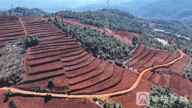 曲靖140万亩高标准农田建设如火如荼 现代农业画卷徐徐展开