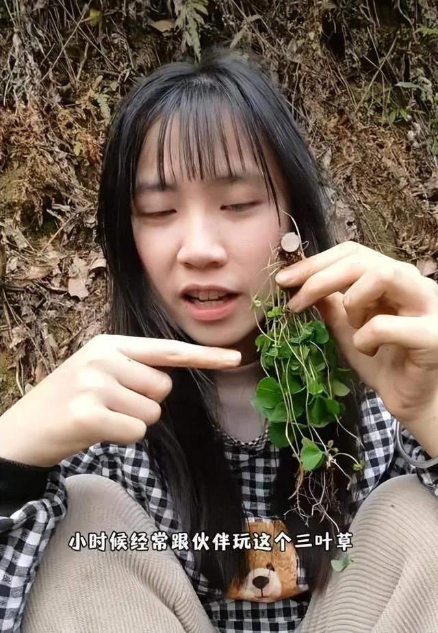 中药学女大学生进山尝草药走红 传承中医药文化
