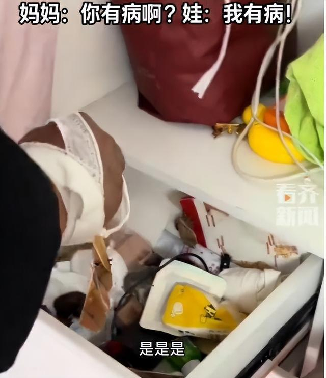 男孩救下蚕蛹20天后变蛾吓懵全家 意外惊喜引发家庭趣事