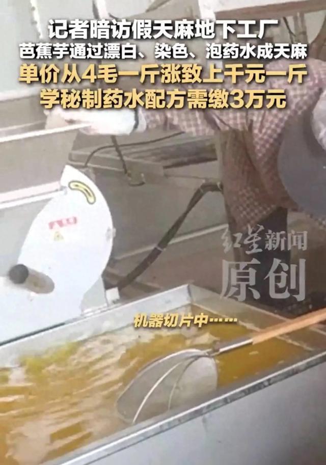 黑工厂制假天麻现场触目惊心