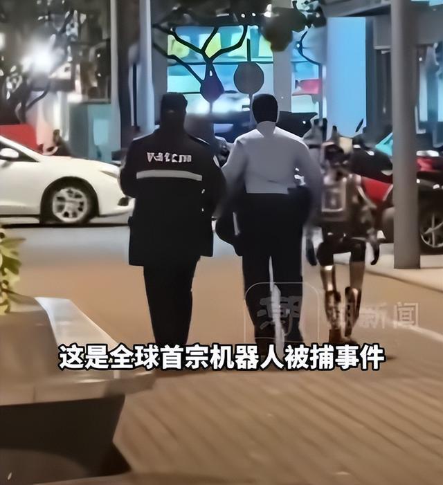 涉事机器人高举双手被警方押走 女子受惊吓未追究