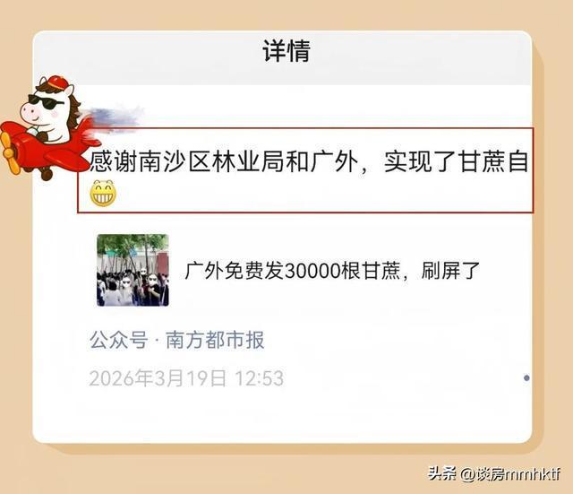 广州一地领证送甘蔗 甜蜜刷屏背后的故事