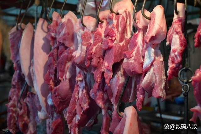 养殖户每头猪要亏500多元 生猪市场陷入深度亏损