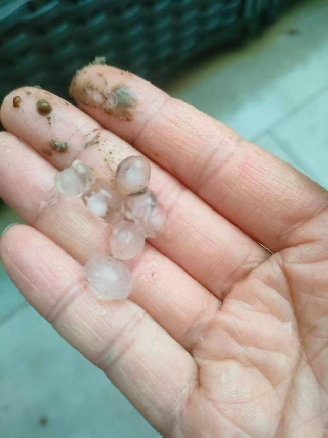 广州市区下冰雹 多区发布橙色预警