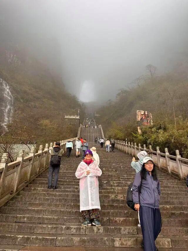 英国奶奶游中国网友奋勉当导游 寰宇存眷招待