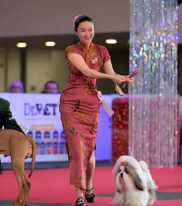 媒体：霍思燕再破天花板 转型牵犬师闪耀国际赛场