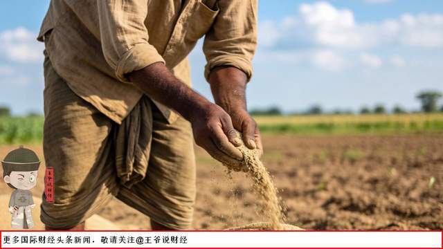 印度3000万人恐将没饭吃 化肥危机暴露经济短板
