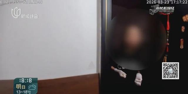 情侣半个月偷上千个“卡皮巴拉” 为刺激不择手段