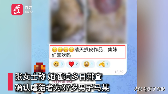 男子疑因金主打赏虐杀小猫 残忍行为激起公愤