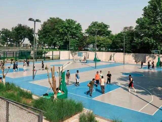 男子打球心脏骤停 球友紧急救援 培训与设备挽救生命