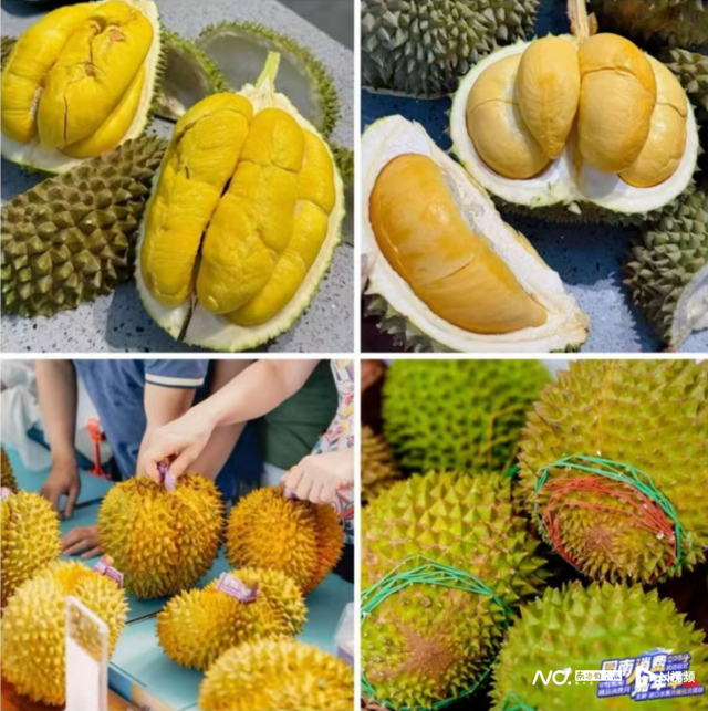 五一来广州南沙解锁多种玩法 文旅盛宴等你来