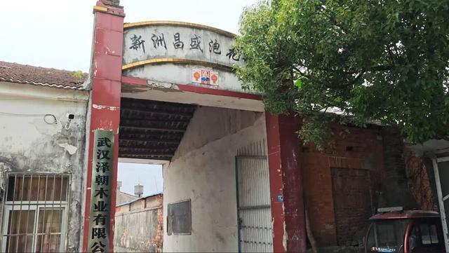 不足600人村庄62人患癌或白血病，村民：我老婆和儿媳都得了白血病 环境污染疑云笼罩