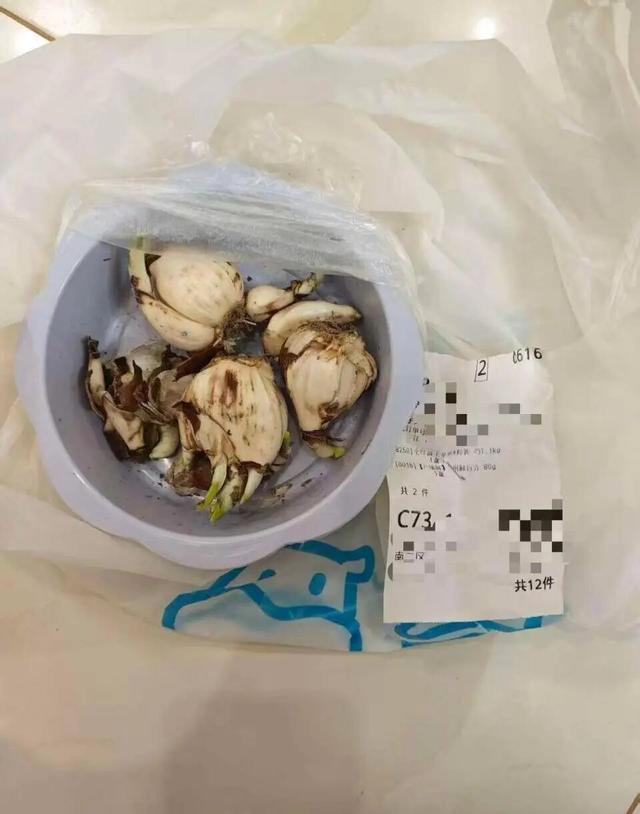 家属称盒马诱导其提赔偿后反告敲诈 消费者要求真诚道歉