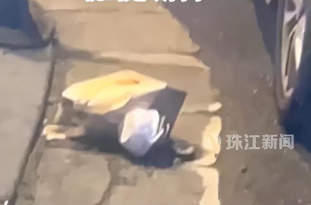 女子外卖吃出蟑螂商家上门毁餐辱骂 店家后厨卫生堪忧