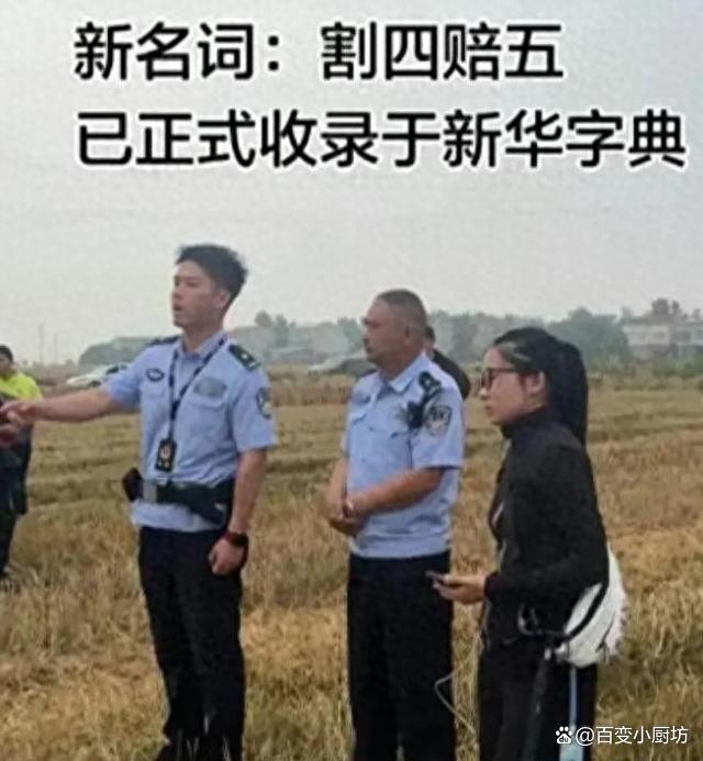 割四賠五亂象