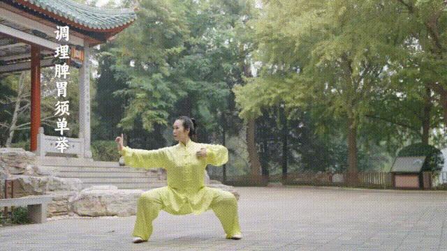 八段錦國家級教材來了 練得靠譜、練出效果