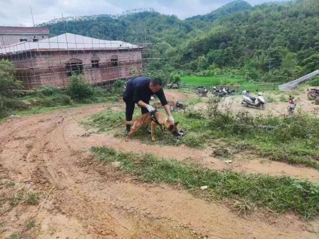 11岁男童失联13天后获救细节披露 千人接力搜救成功