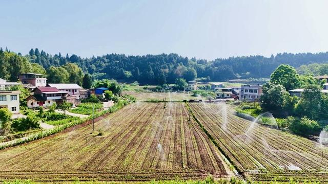 一村莊526畝荒地變“聚寶盆” 從撂荒地到示范田