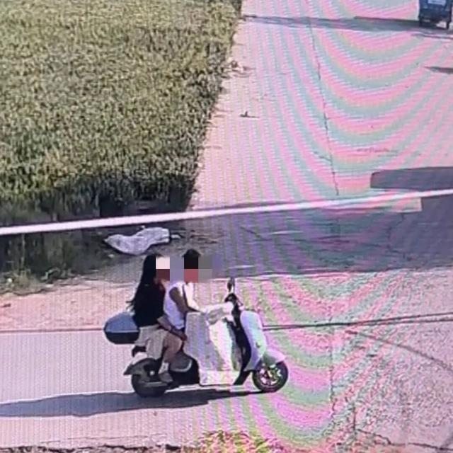 被轉(zhuǎn)賣宰殺邊牧主人最新發(fā)聲 警方已立案偵查
