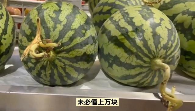 130斤的巨型西瓜曾拍賣到1.3萬(wàn)元 農(nóng)業(yè)精品的展示名片